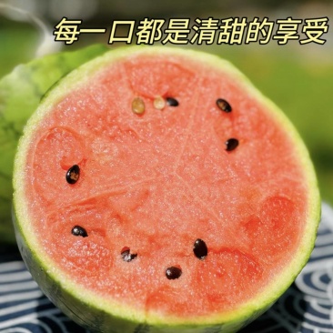 小吊瓜/今夏最后一批，再吃等明年V***********