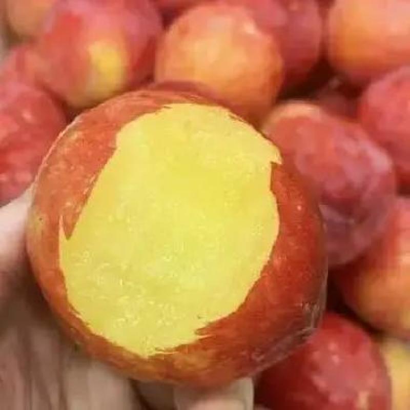 湖北李子大量供应红宝石五月脆八宝丹澳洲红欢迎全国客商咨询