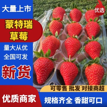 《蒙特瑞草莓》云南草莓现摘现发货源充足量大从优