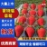 《蒙特瑞草莓》云南草莓现摘现发货源充足量大从优