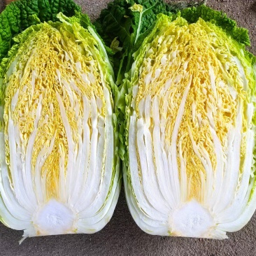 黄心大白菜，大量上市，价格不高，包质量，需要的老板联系