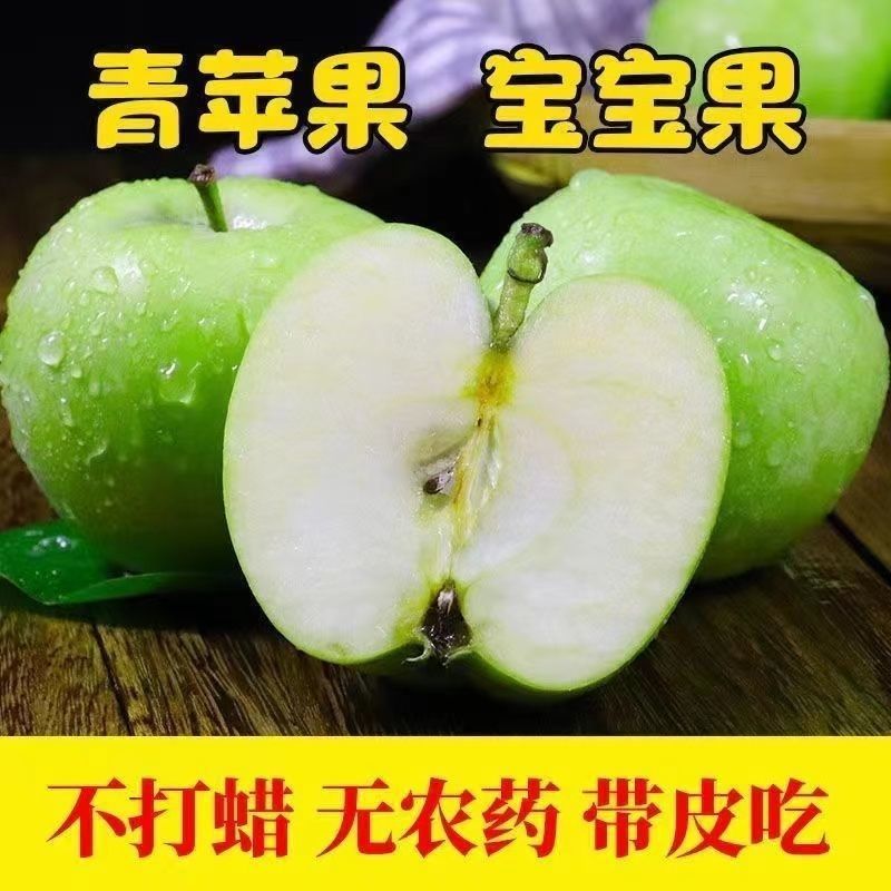 2025年山东辽伏青苹果个头属于小型果现摘青苹果孕妇优选