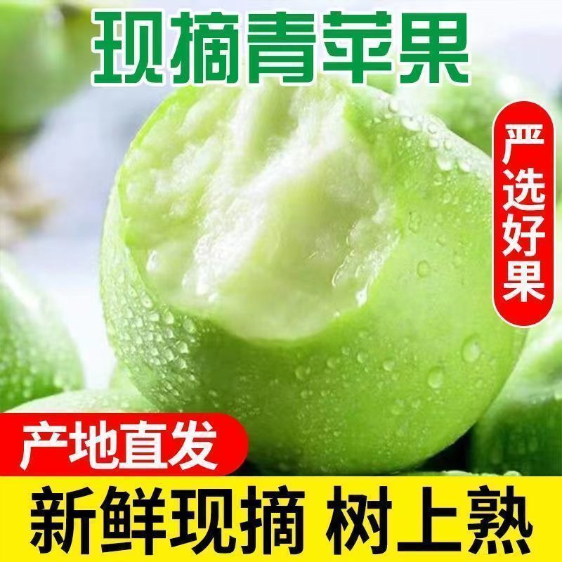 2025年山东辽伏青苹果个头属于小型果现摘青苹果孕妇优选