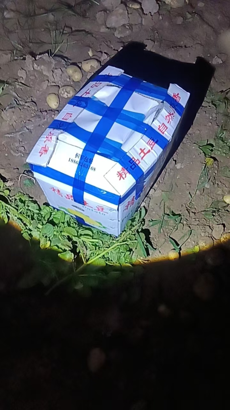 山东产地土豆价格优惠直发全国