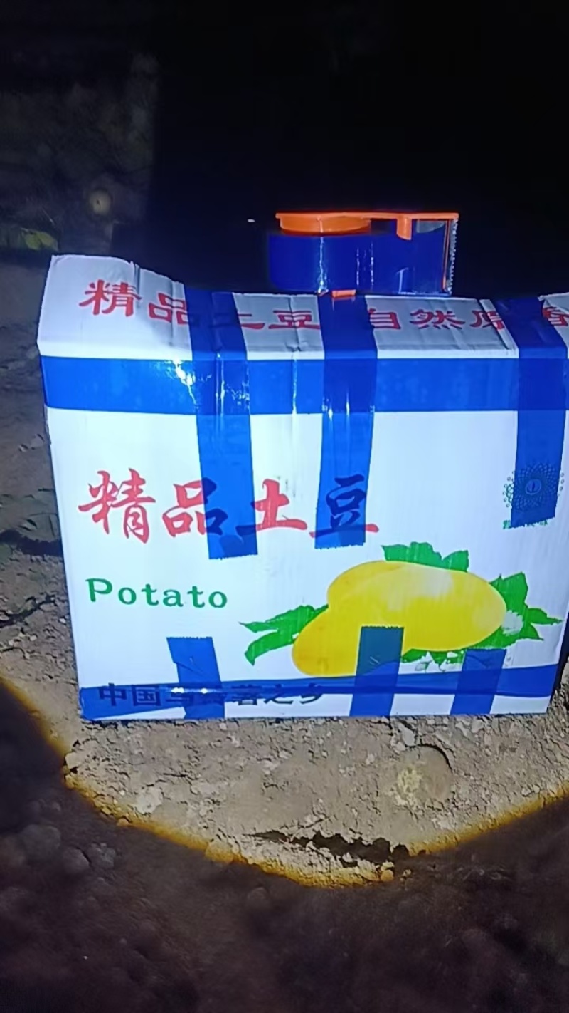 山东产地土豆价格优惠直发全国