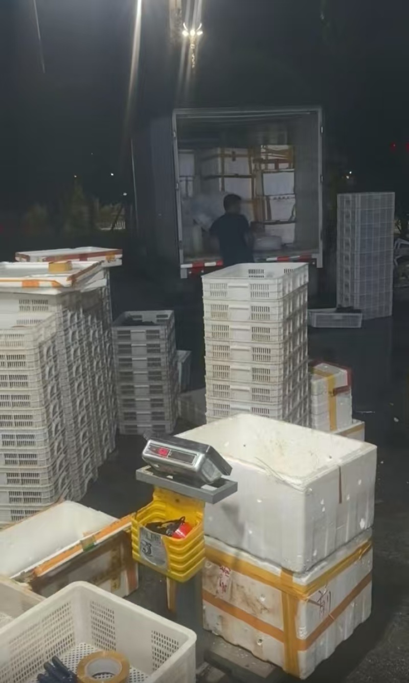 四川泸州小龙虾原产地，物流整车发货，对接全国各地直发