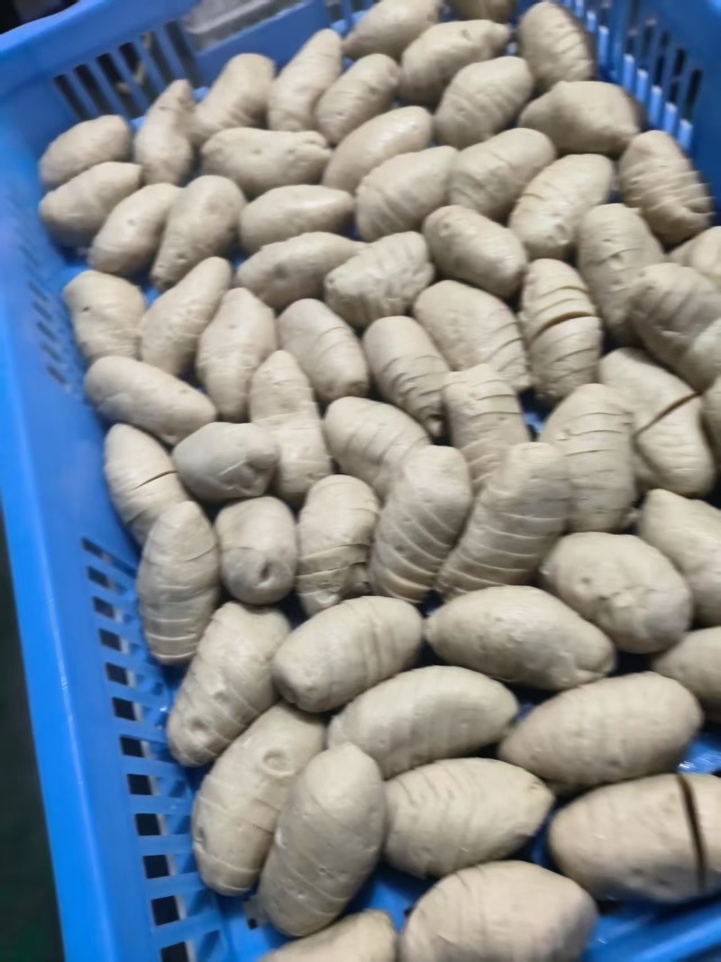 河南南阳面筋头，谷元粉，纯手工制作，可长期供货