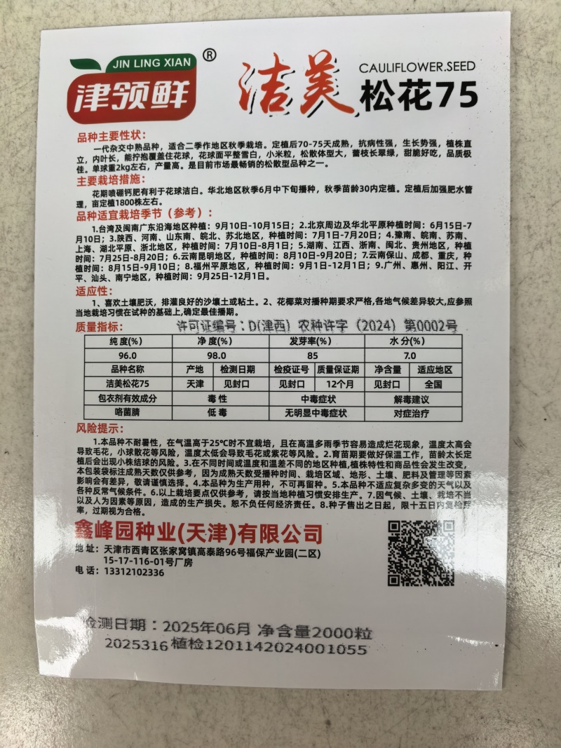 洁美松花75松花菜种子自覆免盖75天青梗小米粒春秋松花菜