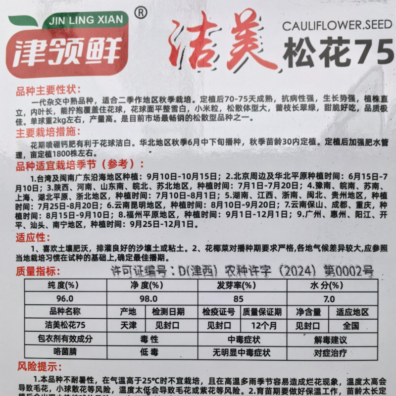 洁美松花75松花菜种子自覆免盖75天青梗小米粒春秋松花菜