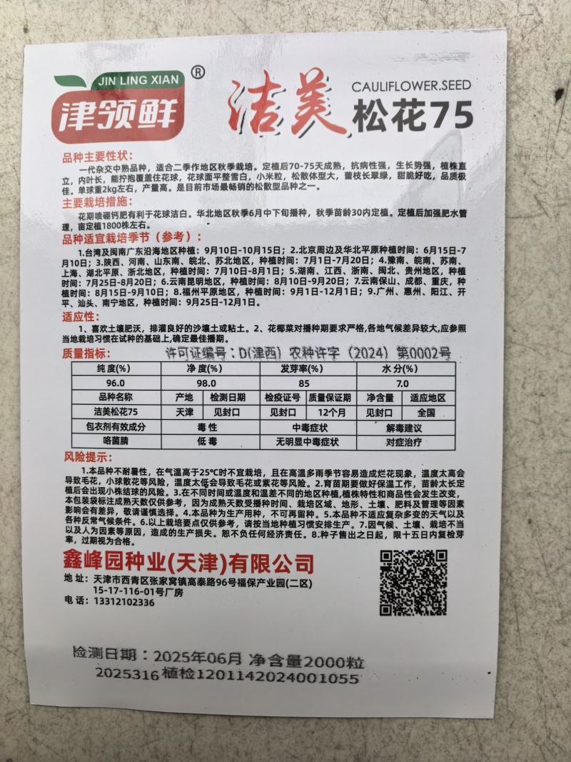 洁美松花75松花菜种子自覆免盖75天青梗小米粒春秋松花菜