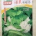 洁美松花75松花菜种子自覆免盖75天青梗小米粒春秋松花菜