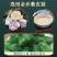腊八蒜250g*5包包邮