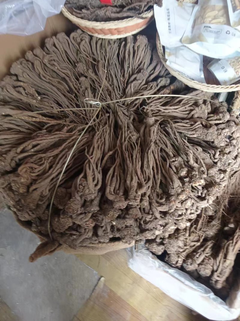 精品当归圆条，产地直供大量有货，全国发货