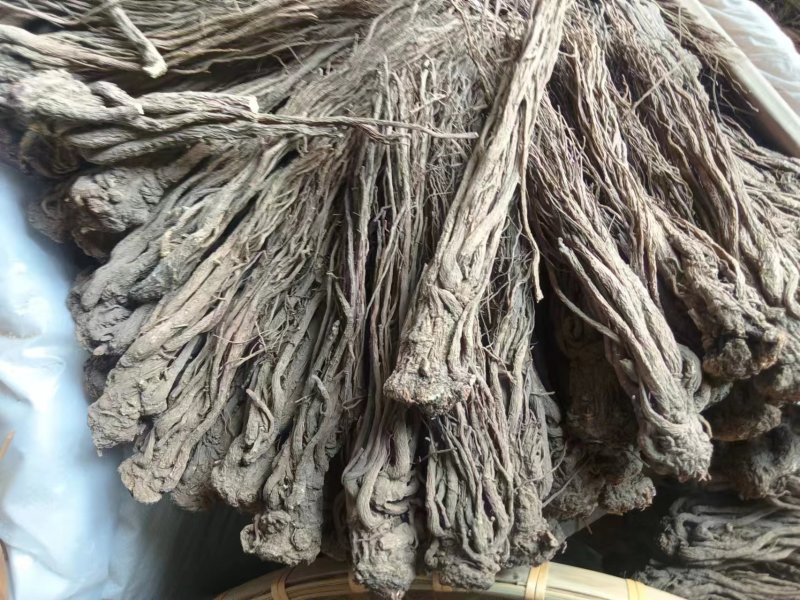 精品当归圆条，产地直供大量有货，全国发货