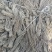 精品当归圆条，产地直供大量有货，全国发货