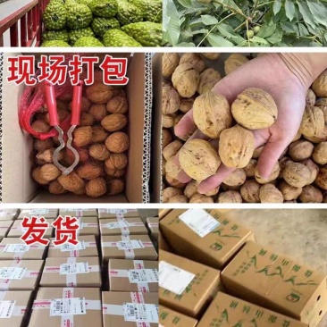 鲜核桃代发，量大价低，品质稳定，欢迎洽谈