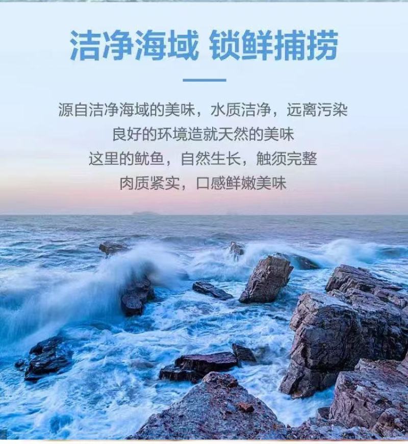 鱿鱼须5斤包邮