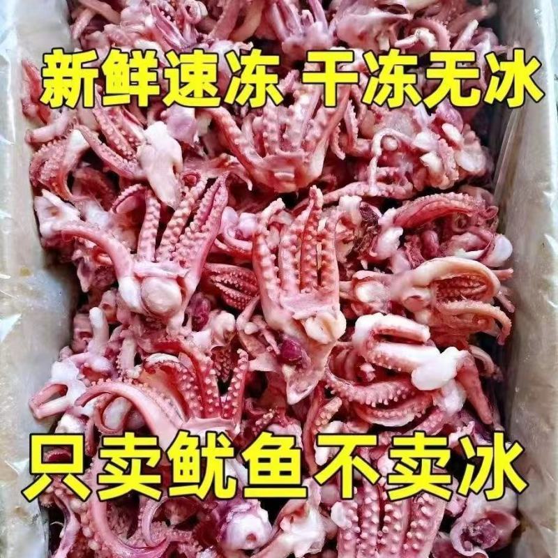 鱿鱼须5斤包邮