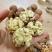 社区，团购，电商，专业供应链一件代发，量大价低