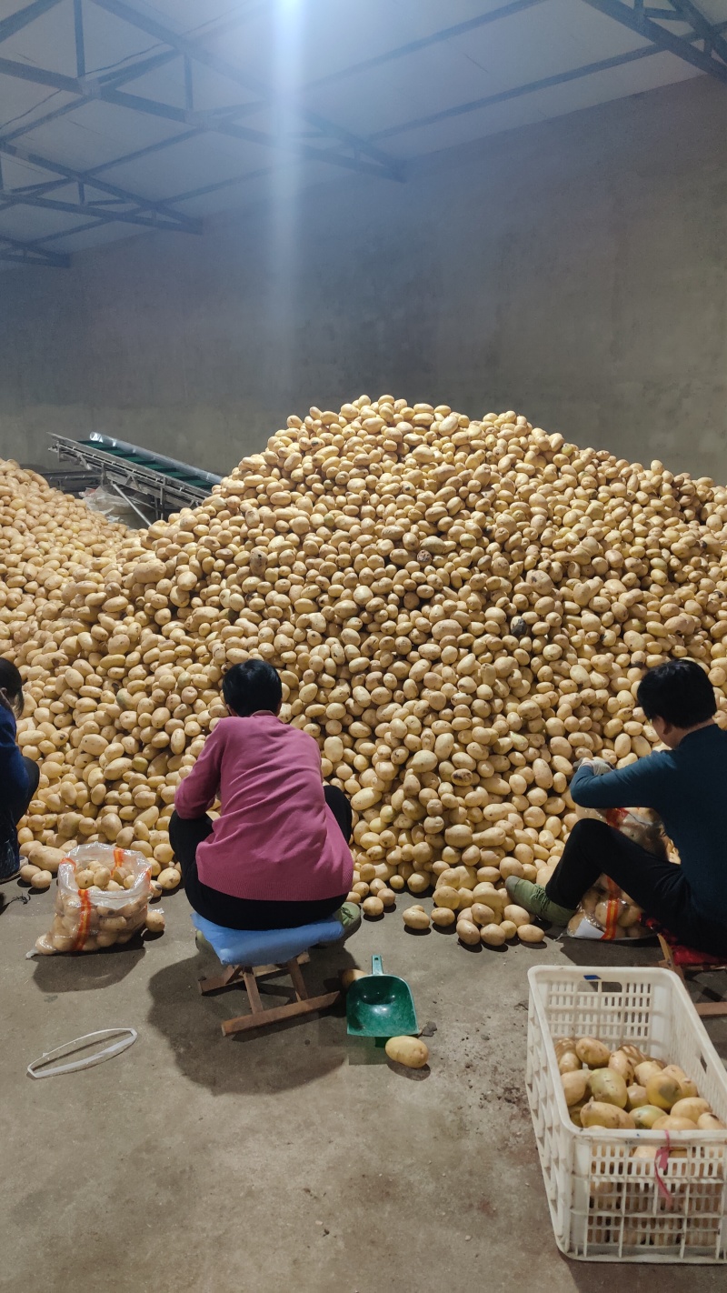 产地实价精品土豆存库翻包（V7希森沃土）