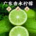 广东湛江香水柠檬无籽批发新鲜奶茶店专用新鲜柠檬青柠薄皮