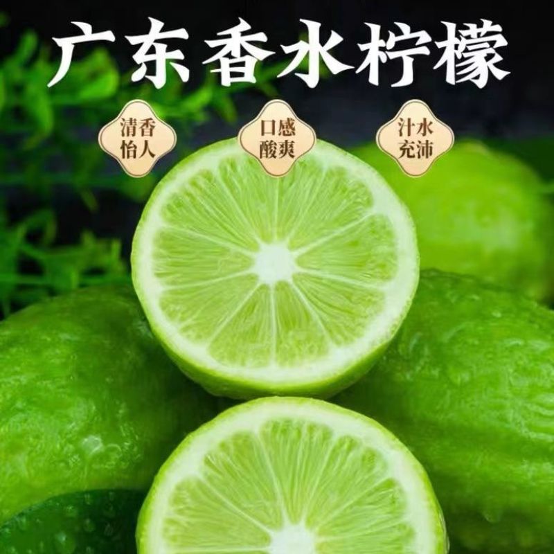 广东湛江香水柠檬无籽批发新鲜奶茶店专用新鲜柠檬青柠薄皮