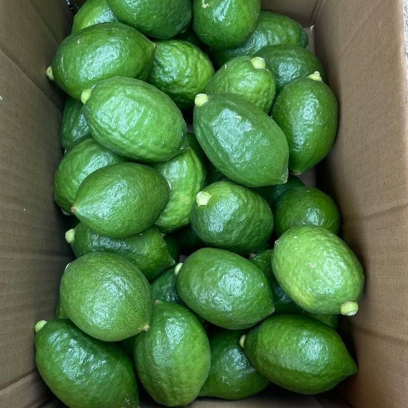 广东湛江香水柠檬无籽批发新鲜奶茶店专用新鲜柠檬青柠薄皮