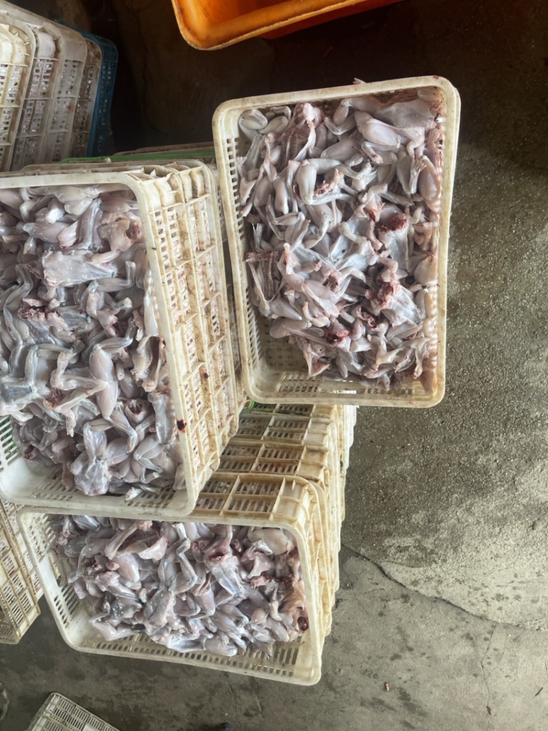 牛蛙肉/成蛙肉-订多包送货，正品保障支持拿样