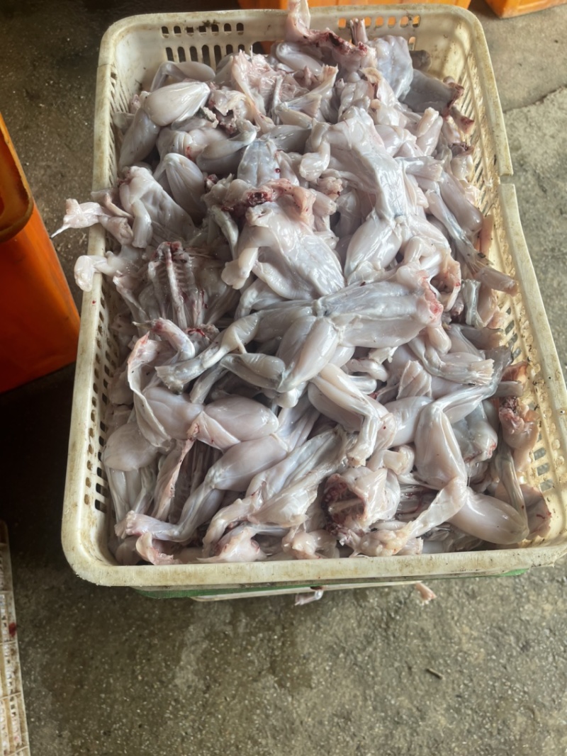牛蛙肉/成蛙肉-订多包送货，正品保障支持拿样