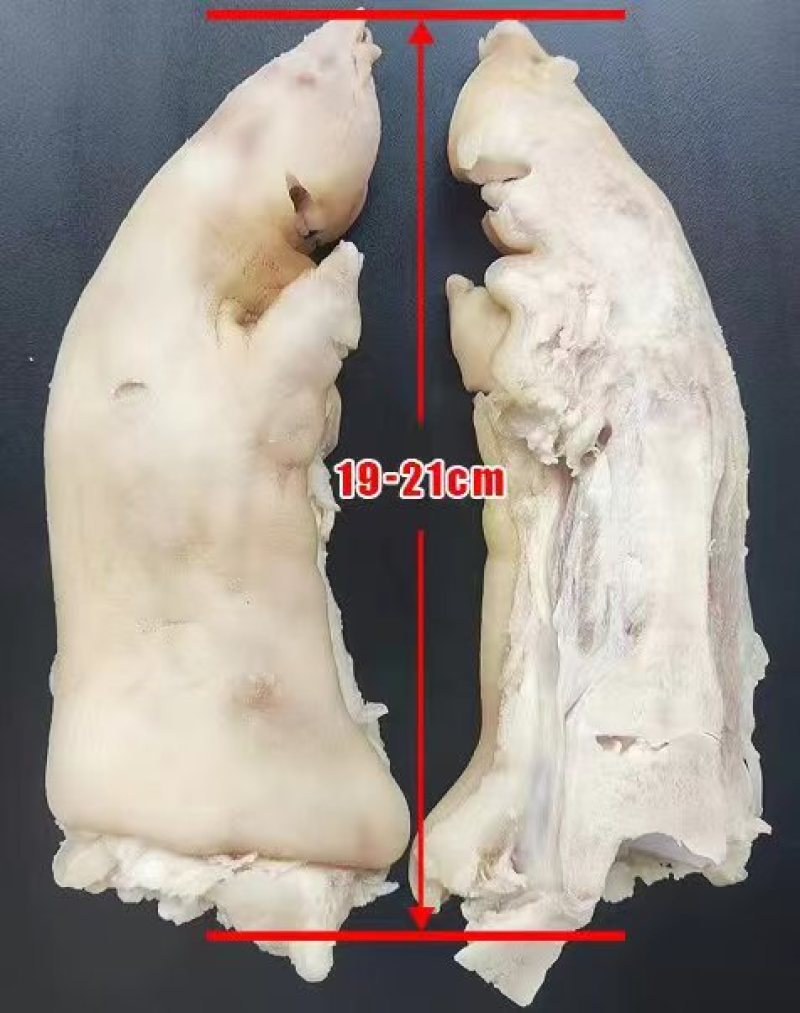 猪蹄开边猪蹄厂家直供品质保证用于烧烤炖汤卤味