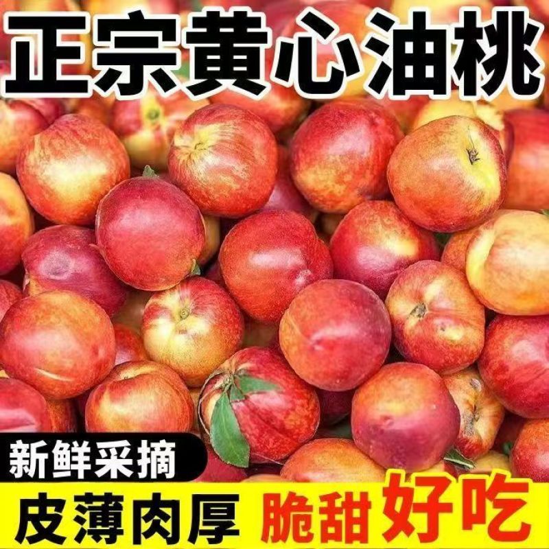 正宗当季黄心油桃脆甜多汁黄心大油桃新鲜水果黄肉蜜桃一整箱