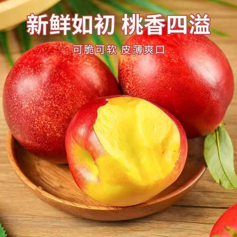 正宗当季黄心油桃脆甜多汁黄心大油桃新鲜水果黄肉蜜桃一整箱
