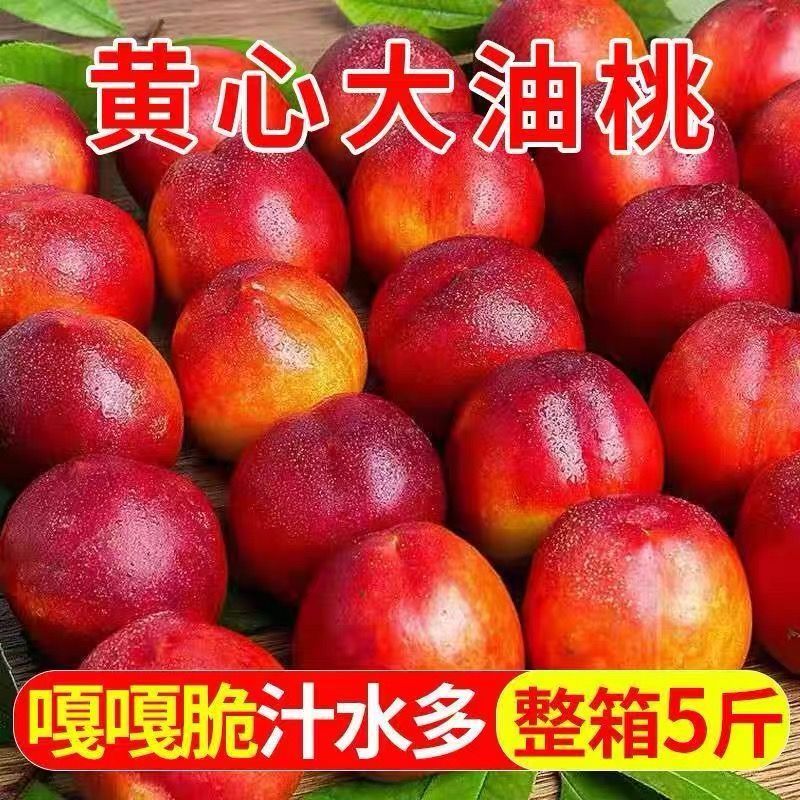 正宗当季黄心油桃脆甜多汁黄心大油桃新鲜水果黄肉蜜桃一整箱