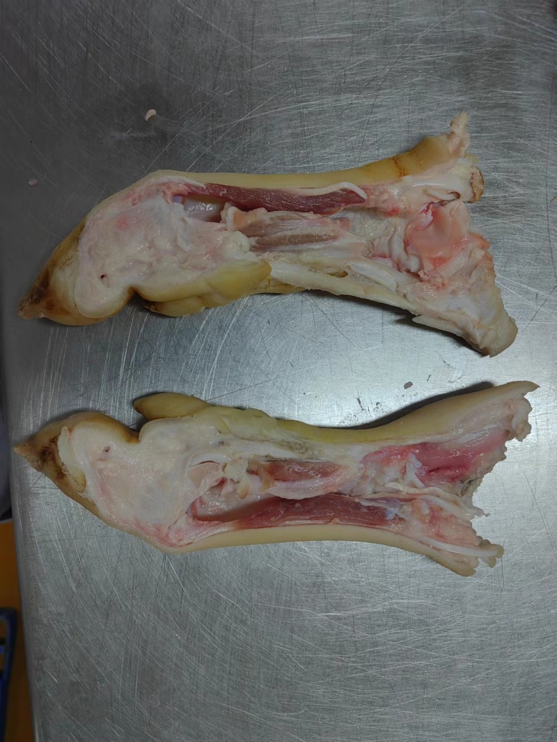 去骨猪蹄整个无骨猪蹄厂家直供品质好用于卤味连锁餐