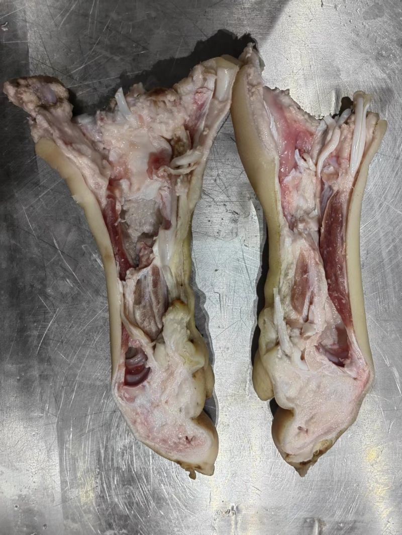 去骨猪蹄整个无骨猪蹄厂家直供品质好用于卤味连锁餐