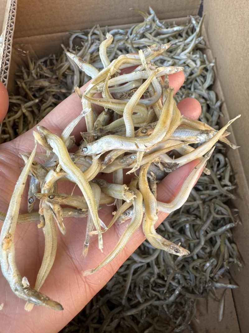 银针鱼，银鱼干，咸淡适中，大量现货