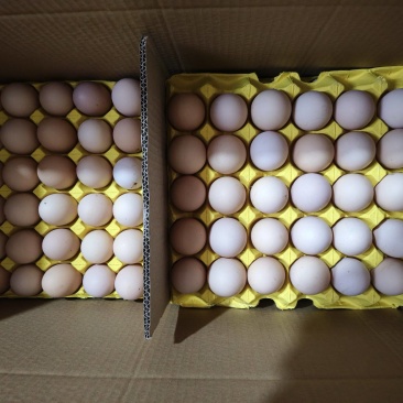 粉蛋精品蛋大码黄心批量走车欢迎电话咨询