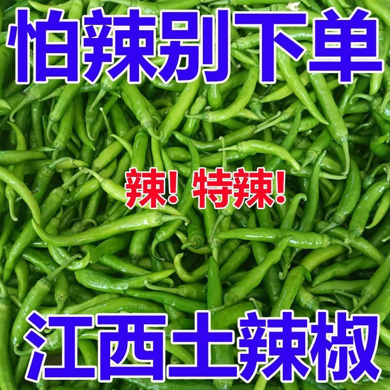 江西农家辣椒新鲜土辣椒青椒自种特辣爆辣现摘现发薄皮