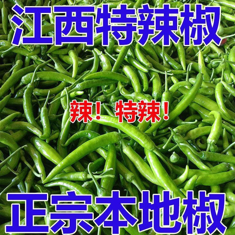 江西农家辣椒新鲜土辣椒青椒自种特辣爆辣现摘现发薄皮
