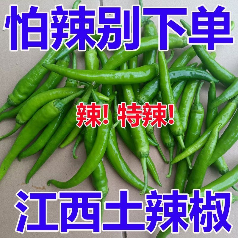 江西农家辣椒新鲜土辣椒青椒自种特辣爆辣现摘现发薄皮