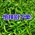 江西农家辣椒新鲜土辣椒青椒自种特辣爆辣现摘现发薄皮