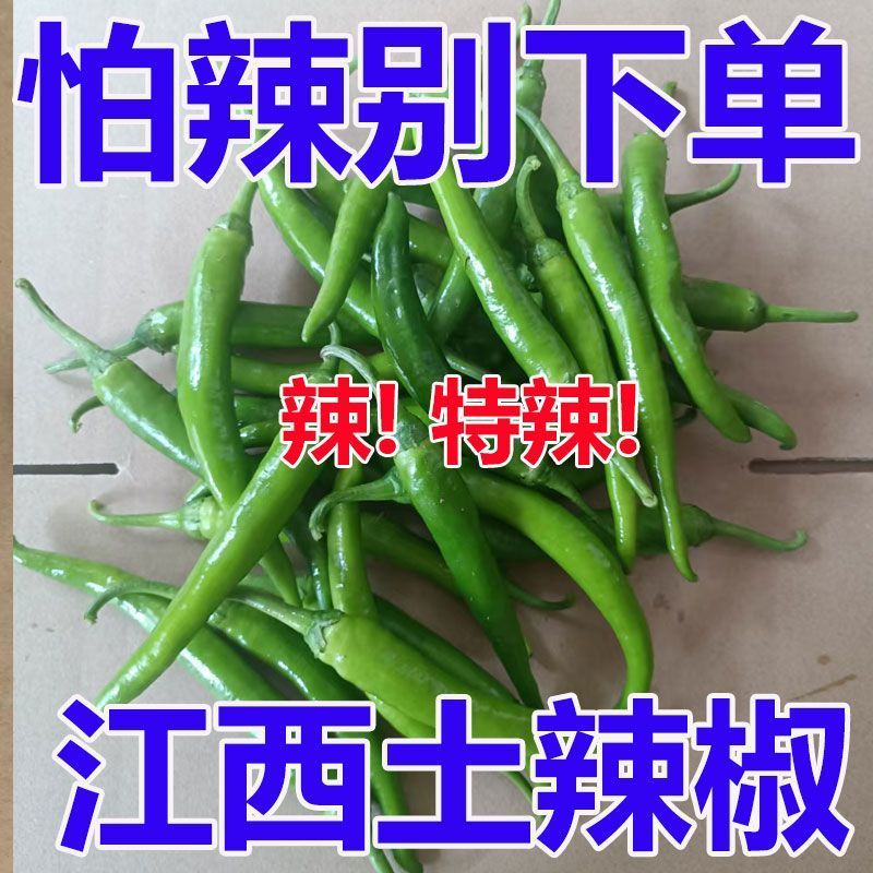 江西农家辣椒新鲜土辣椒青椒自种特辣爆辣现摘现发薄皮