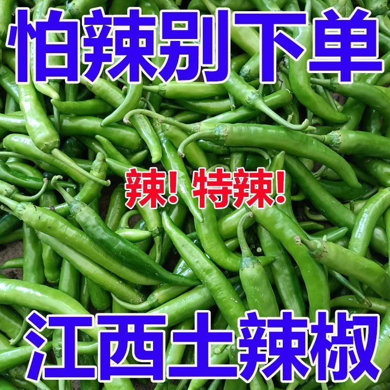 江西农家辣椒新鲜土辣椒青椒自种特辣爆辣现摘现发薄皮