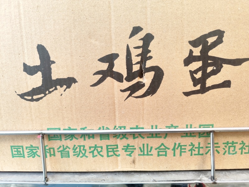 土鸡蛋初生蛋头窝蛋温氏同产地鸡蛋各种规格型号都有量充足