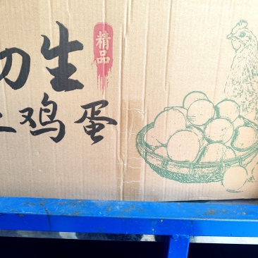 土鸡蛋初生蛋头窝蛋温氏同产地鸡蛋各种规格型号都有量充足