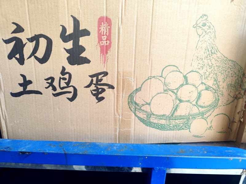 土鸡蛋初生蛋头窝蛋温氏同产地鸡蛋各种规格型号都有量充足