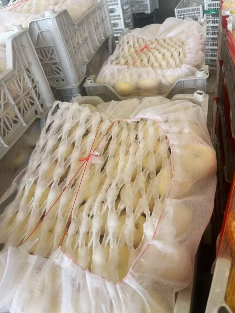 山东蒙阴黄金蟠桃之乡，大量有货，品质佳，规格齐全，欢迎咨询