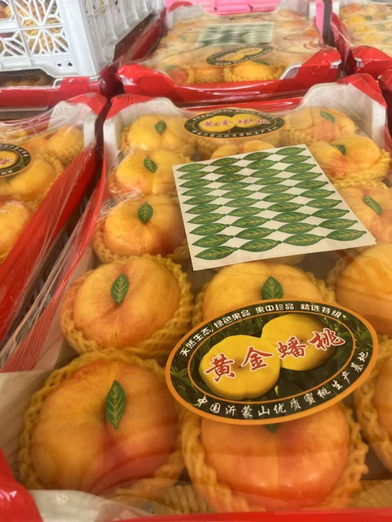 山东蒙阴黄金蟠桃之乡，大量有货，品质佳，规格齐全，欢迎咨询
