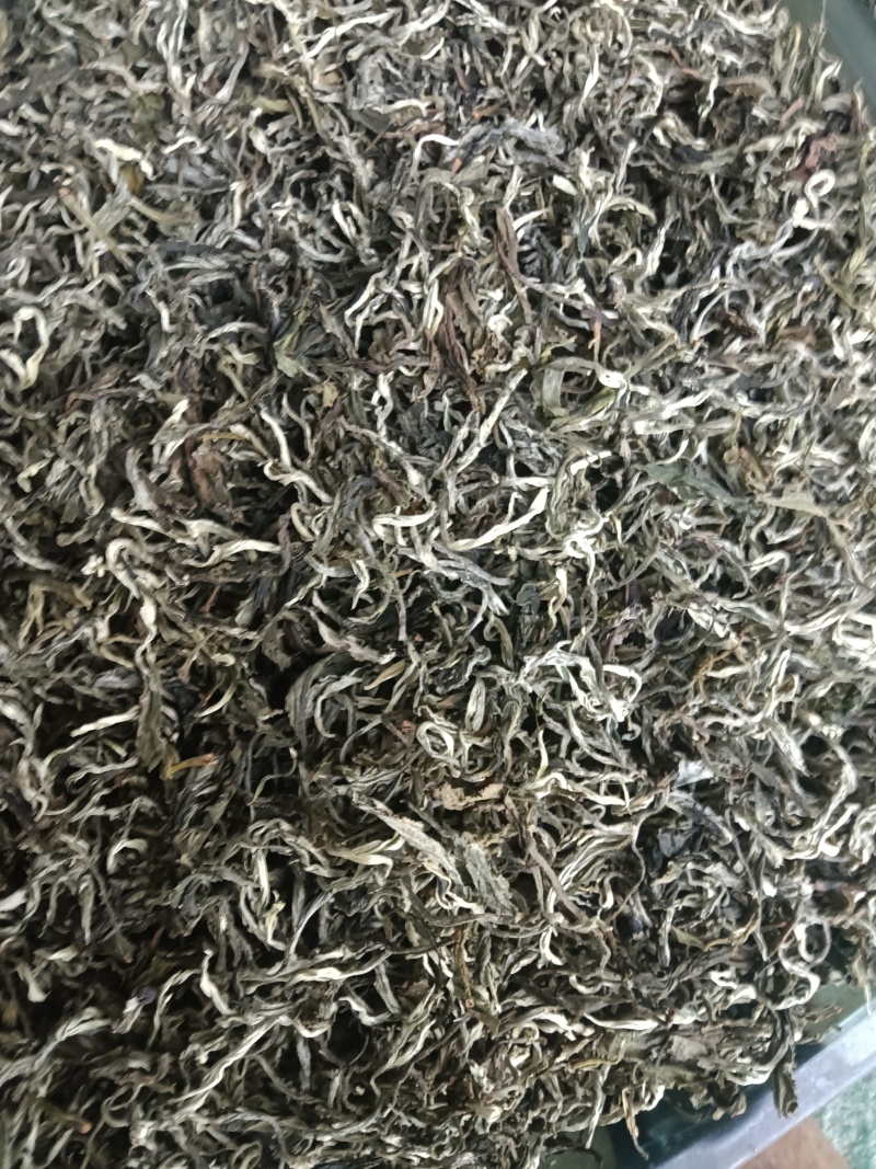 广西高山云雾茶