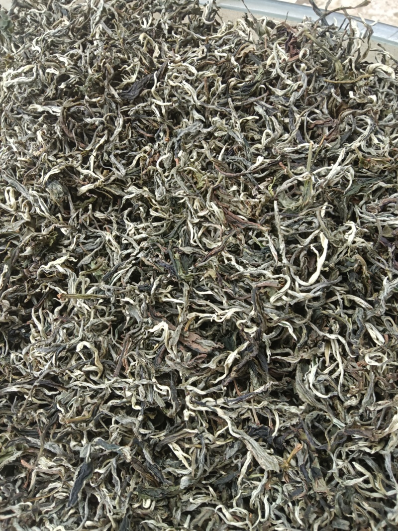 广西高山云雾茶
